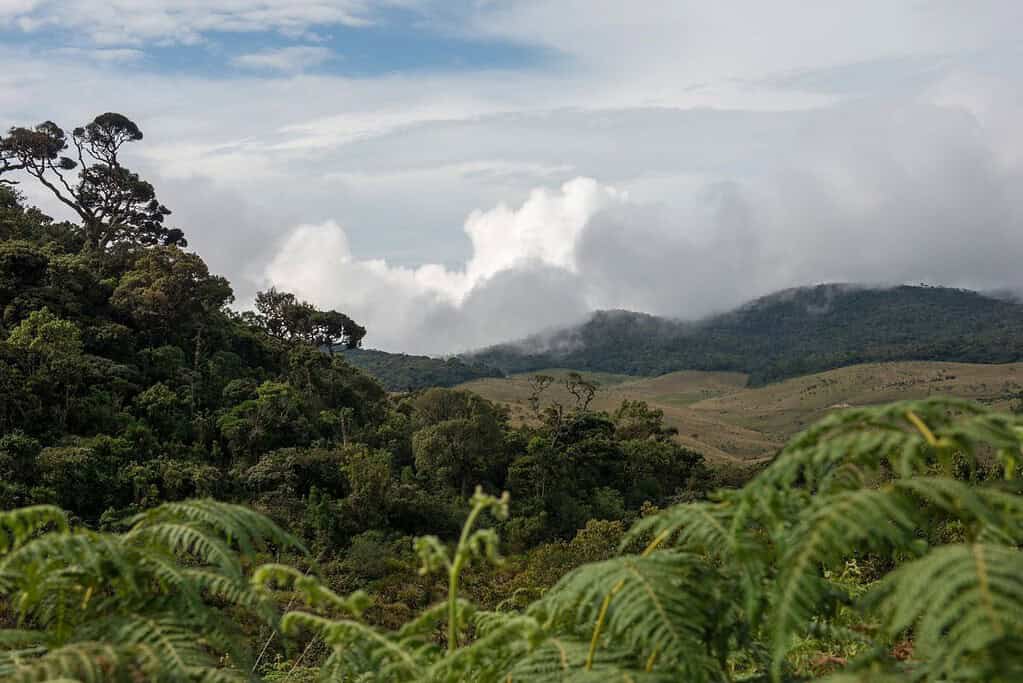 Horton Plains National Park Sri Lanka 1 Horton Plains National Park - Sri Lanka
