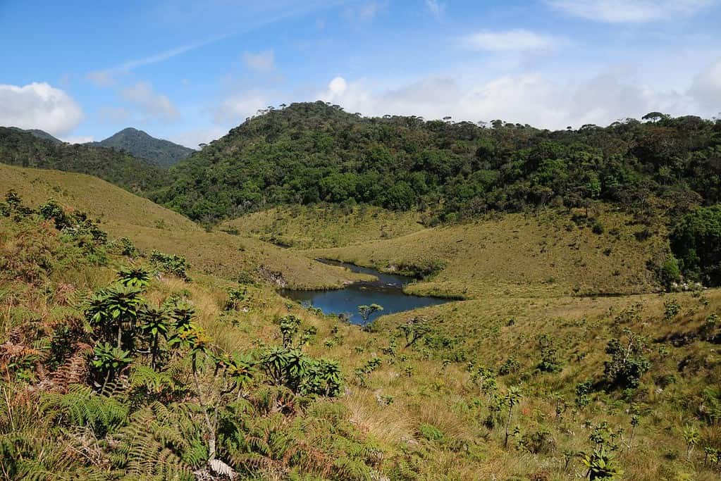 Horton Plains National Park Sri Lanka Horton Plains National Park Sri Lanka