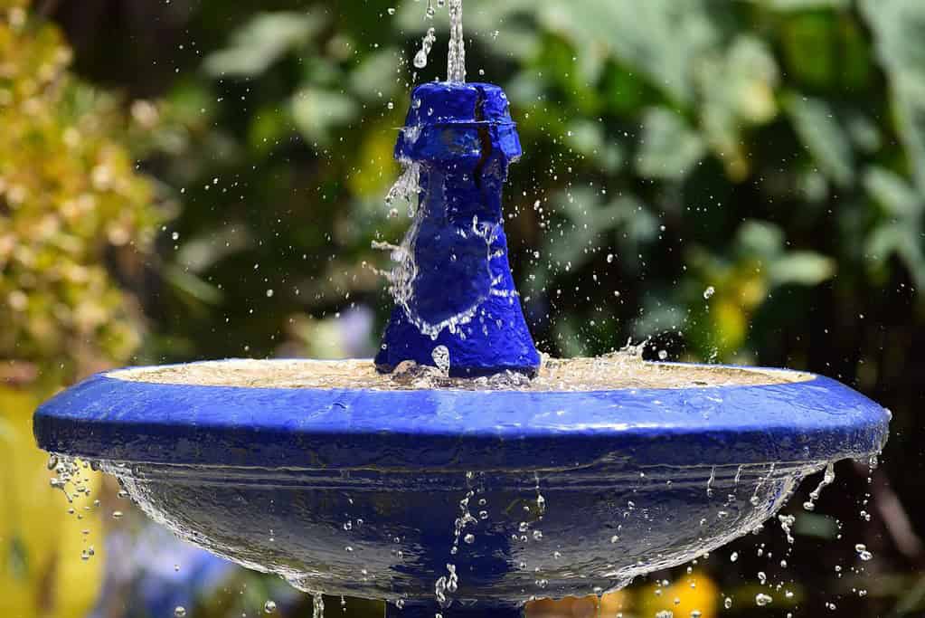 Jardin Majorelle 2 Jardin Majorelle