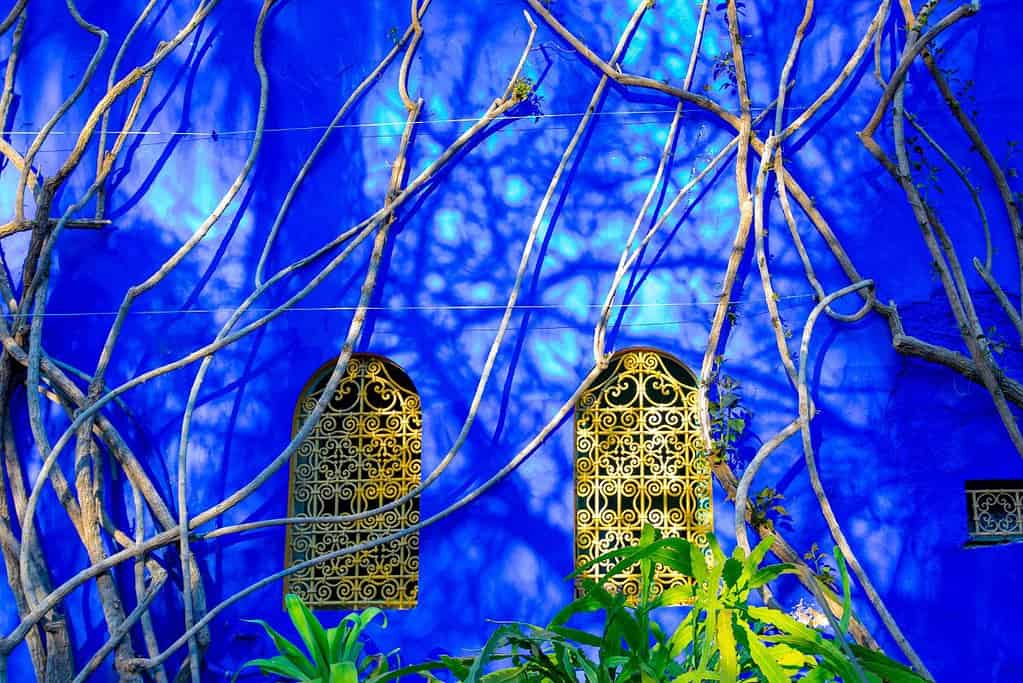 Jardin Majorelle 7 Jardin Majorelle
