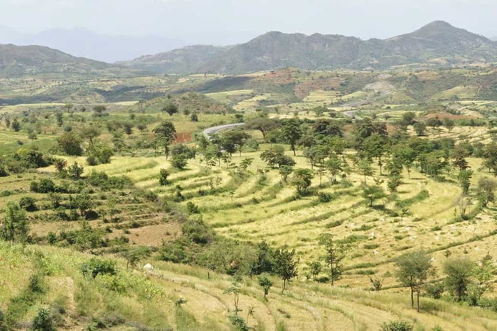 Konso Cultural Landscape Ethiopia 1 Konso Cultural Landscape - Ethiopia