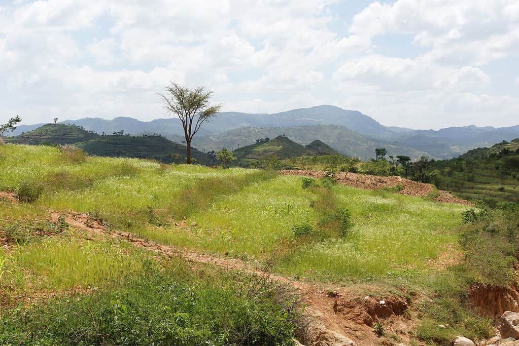 Konso Cultural Landscape Ethiopia 2 Konso Cultural Landscape - Ethiopia