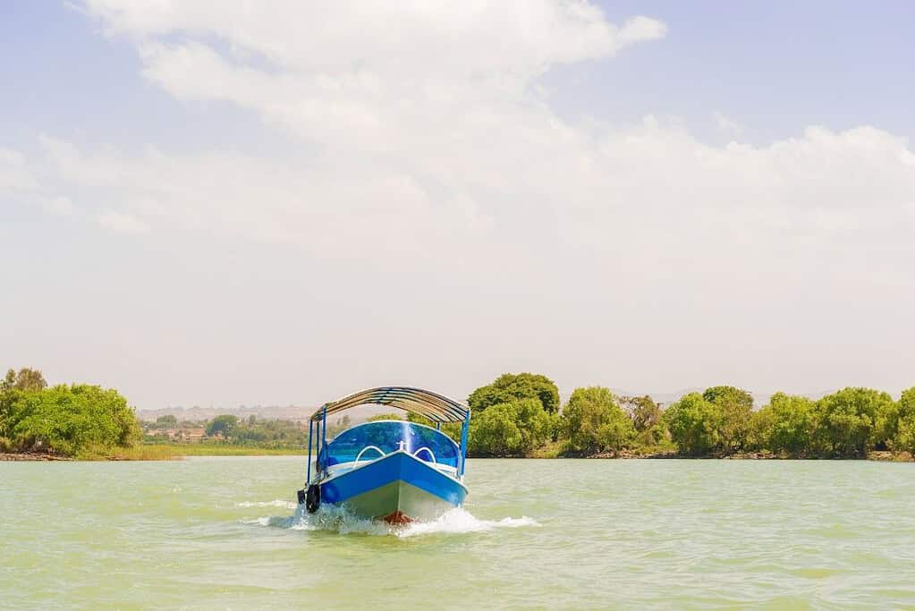 Lake Tana 10 Lake Tana