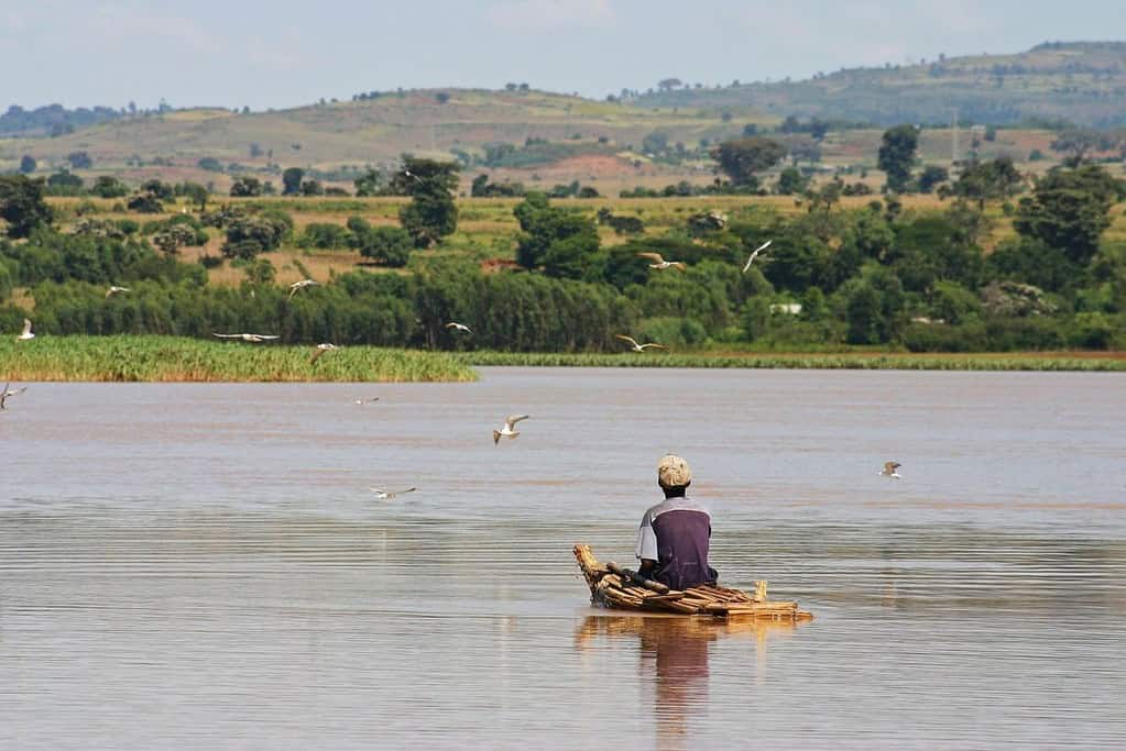 Lake Tana 3 Lake Tana