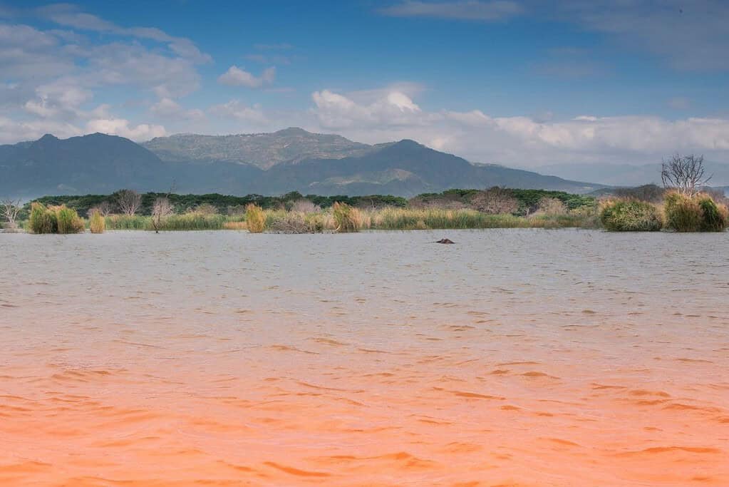 Lake Tana 8 Attractions Lake Tana