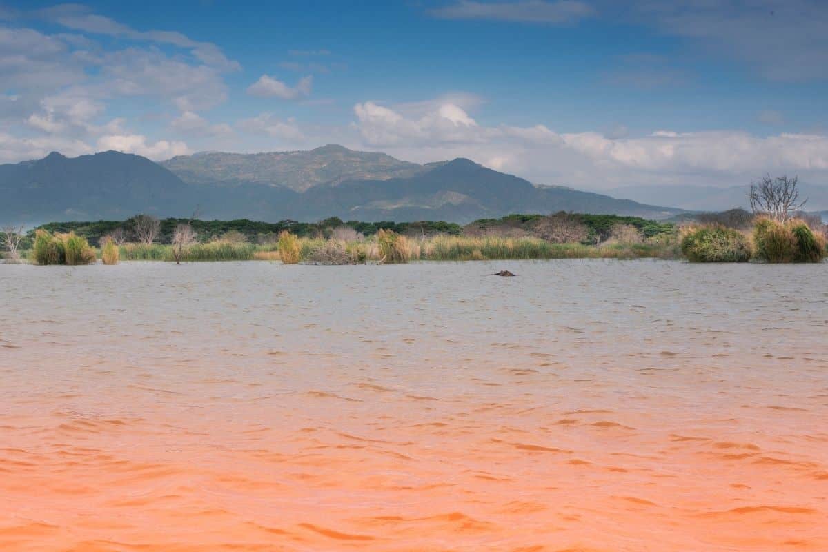 Lake Tana