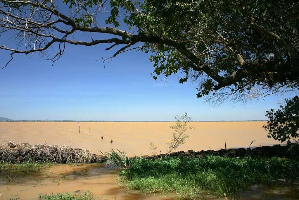 Lake Tana Ethiopia 2 Lake Tana - Ethiopia