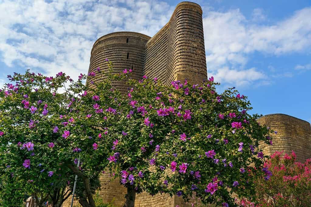 Old City Icheri Sheher Azerbaijan 2 Old City (Icheri Sheher) - Azerbaijan