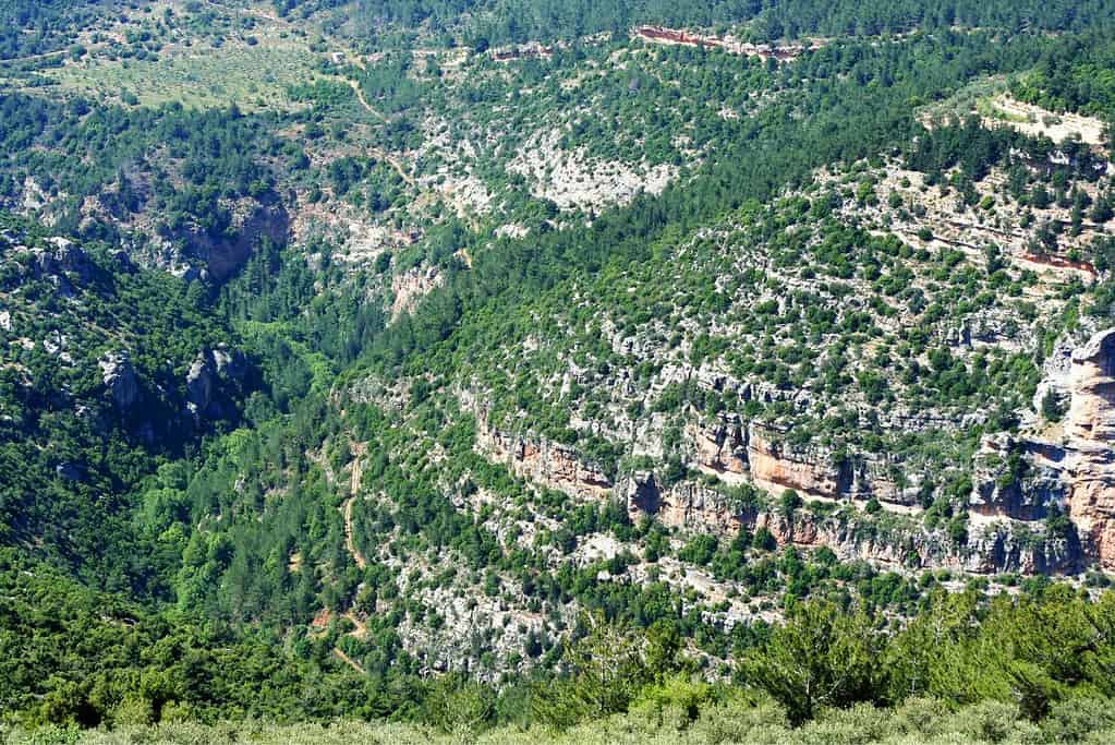 Qadisha Valley Lebanon Qadisha Valley Lebanon