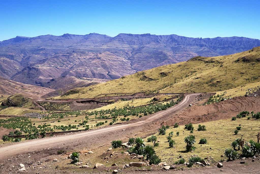Ras Dashen Ethiopia Ras Dashen - Ethiopia