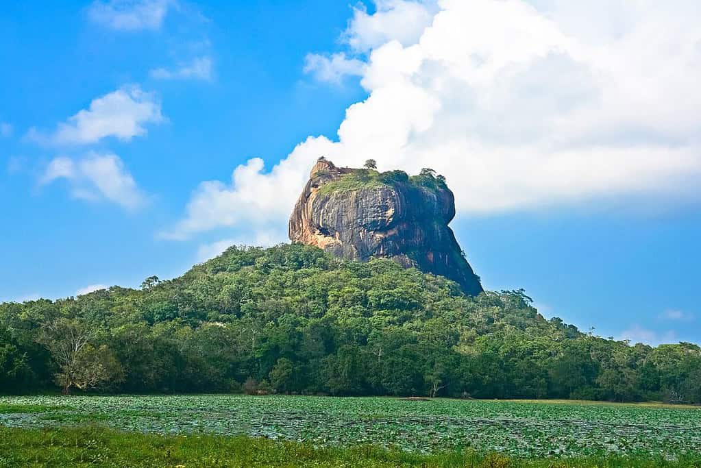 Sigiriya Rock Fortress Sigiriya Rock Fortress