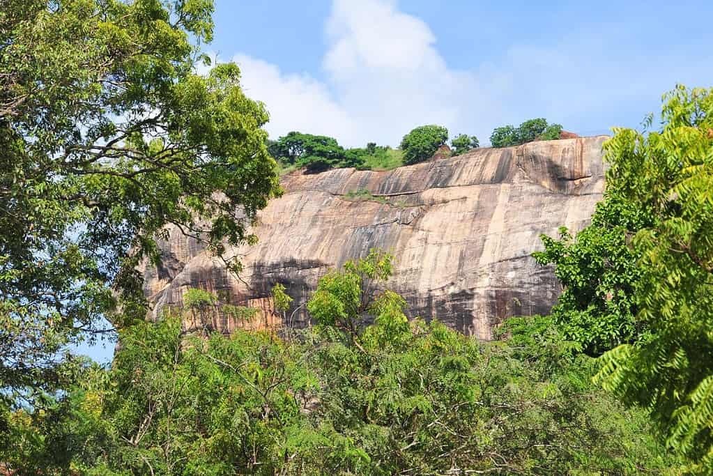 Sigiriya Rock Fortress 9 Sigiriya Rock Fortress