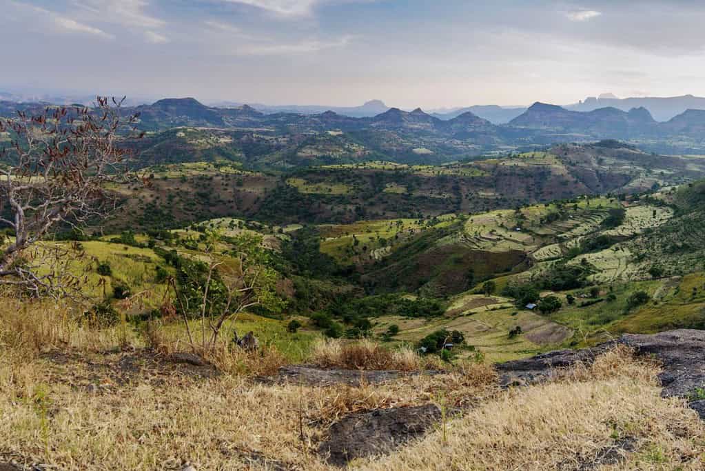 Simien Mountains National Park 3 Simien Mountains National Park