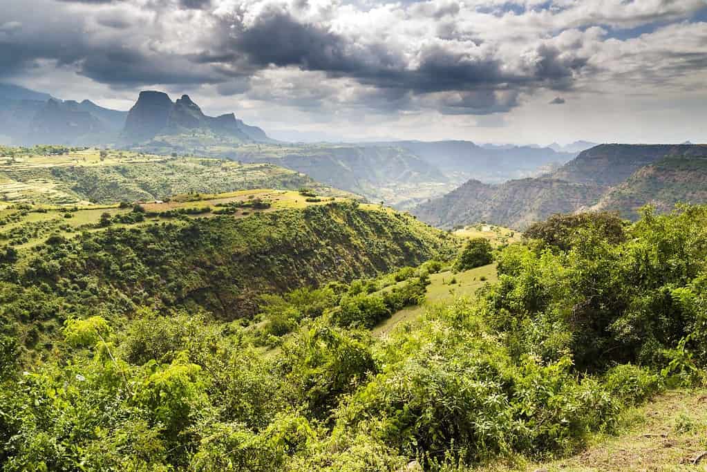 Simien Mountains National Park 4 Simien Mountains National Park