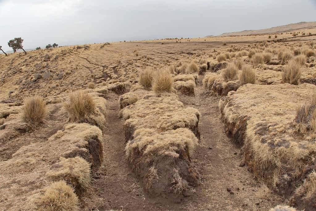 Simien Mountains National Park 8 Simien Mountains National Park