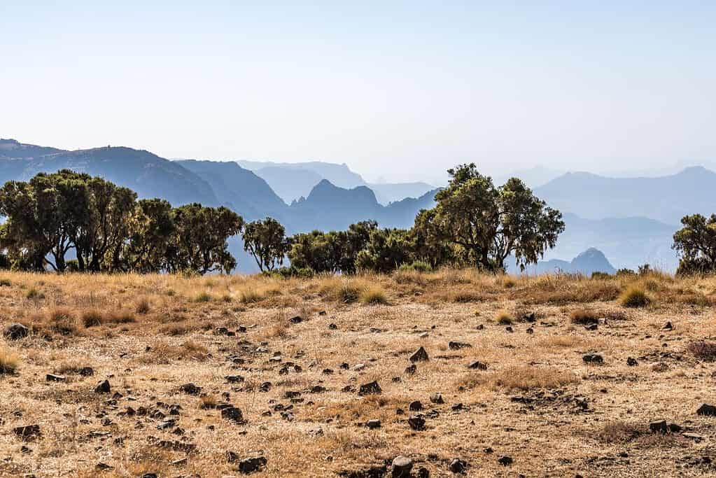 Simien Mountains National Park 9 Simien Mountains National Park