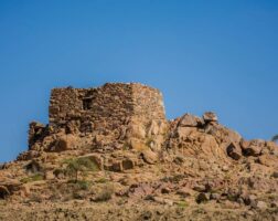 Taif saudi arabia