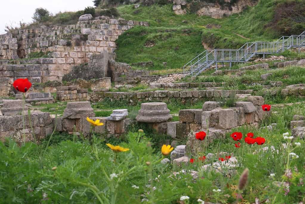 Temple of Eshmun 2 Temple of Eshmun