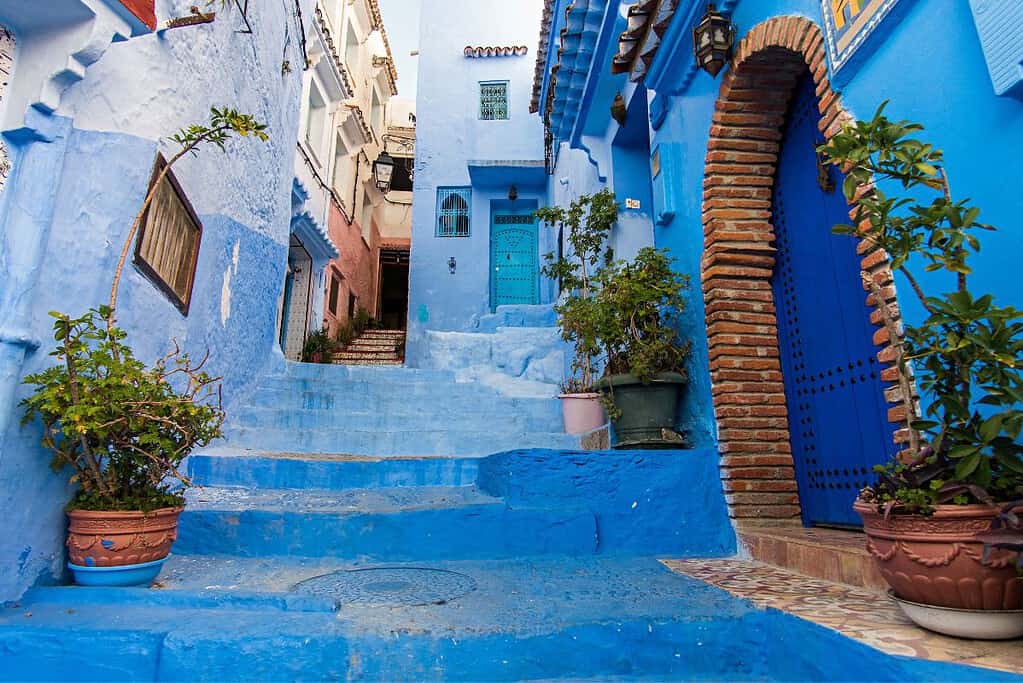 The Blue City The Blue City