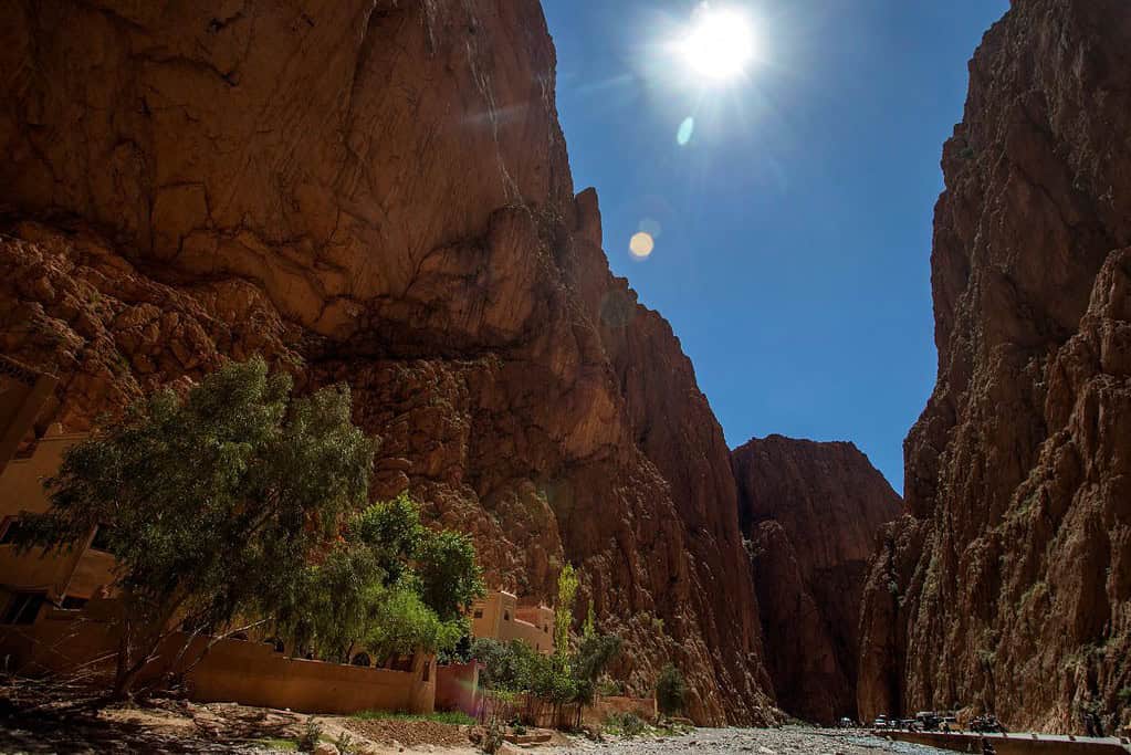 Todra Gorge 9 Todra Gorge