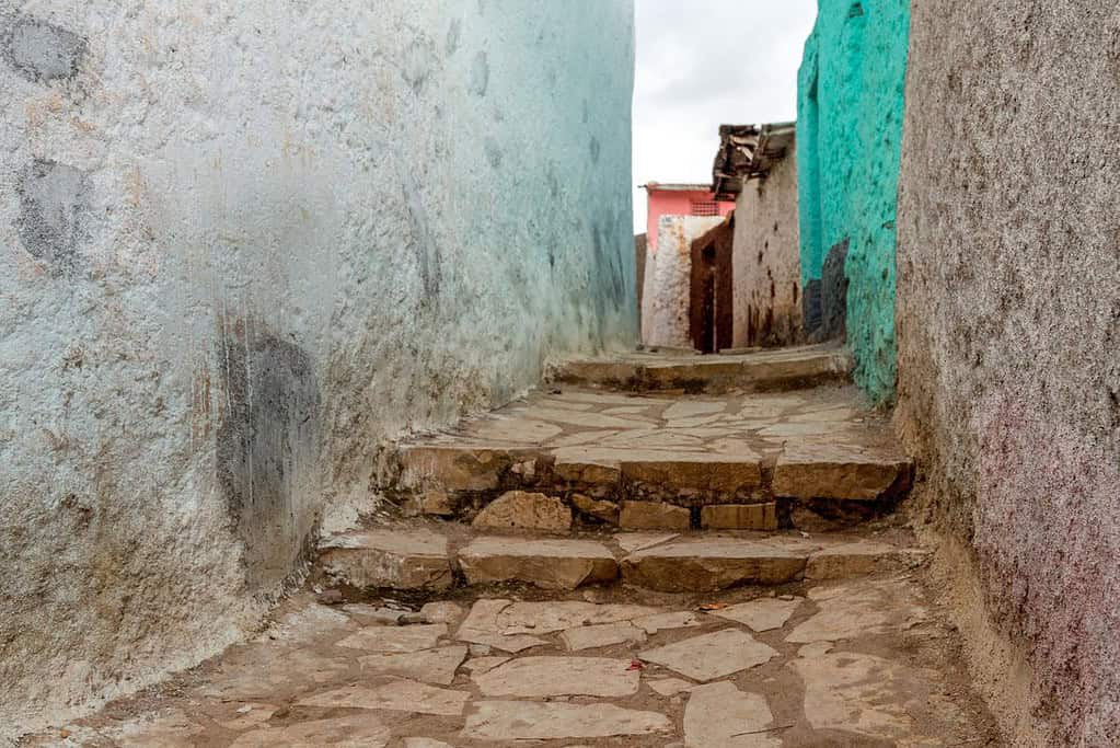 Travel to Harar Jugol Travel to Harar Jugol
