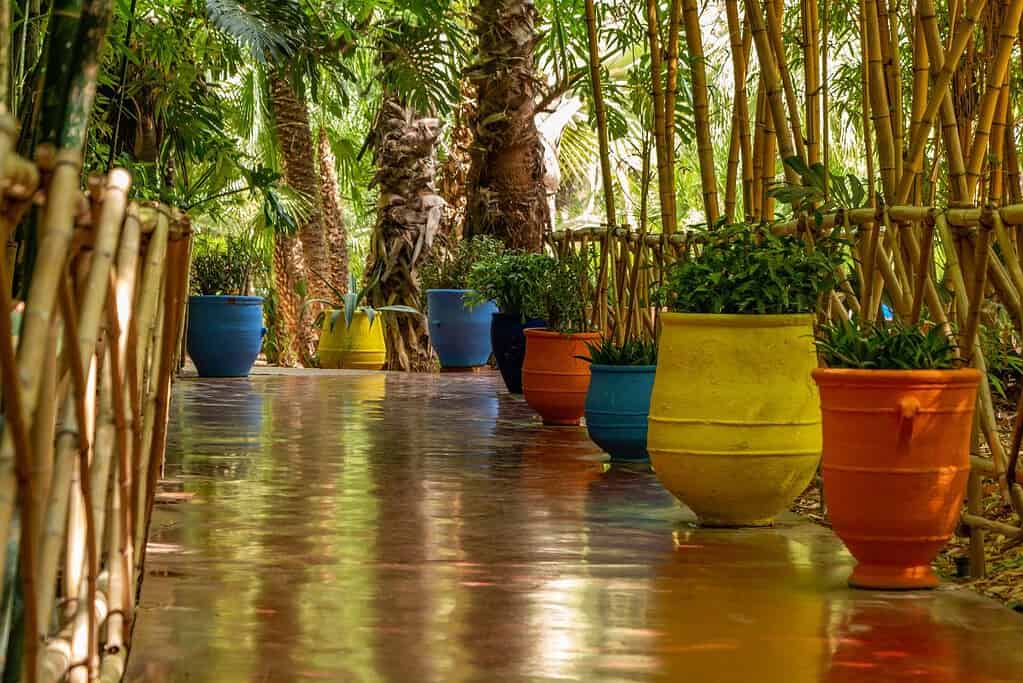 Travel to Jardin Majorelle Travel to Jardin Majorelle