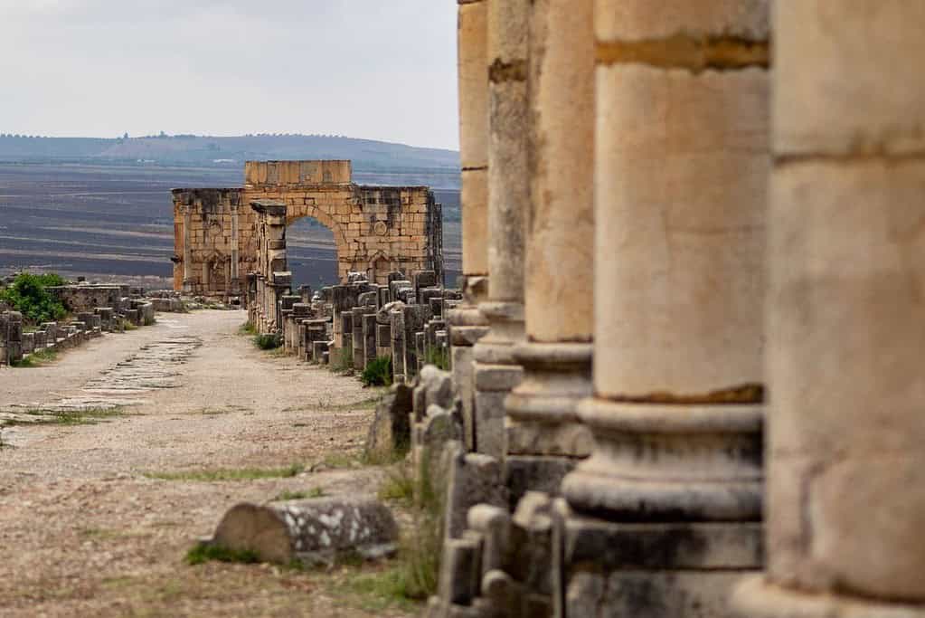 Travel to Volubilis Travel to Volubilis
