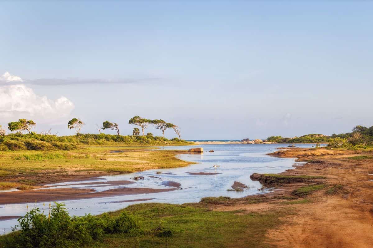 Travel to Yala National Park