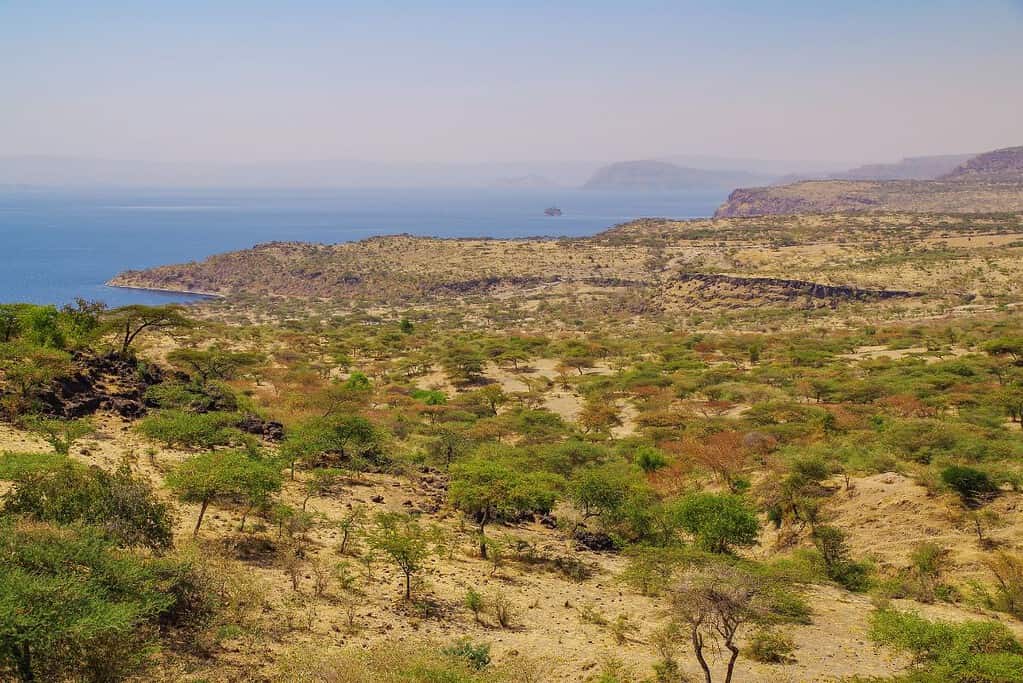 Travel toAbijatta Shalla National Park Travel toAbijatta-Shalla National Park