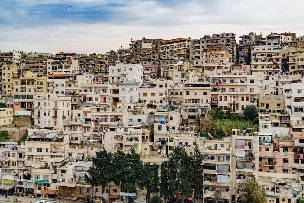 Tripoli 10 Tripoli