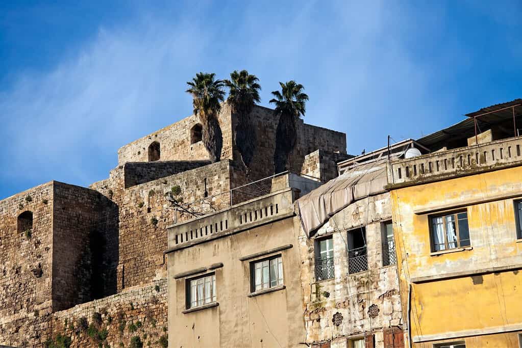 Tripoli 6 Tripoli