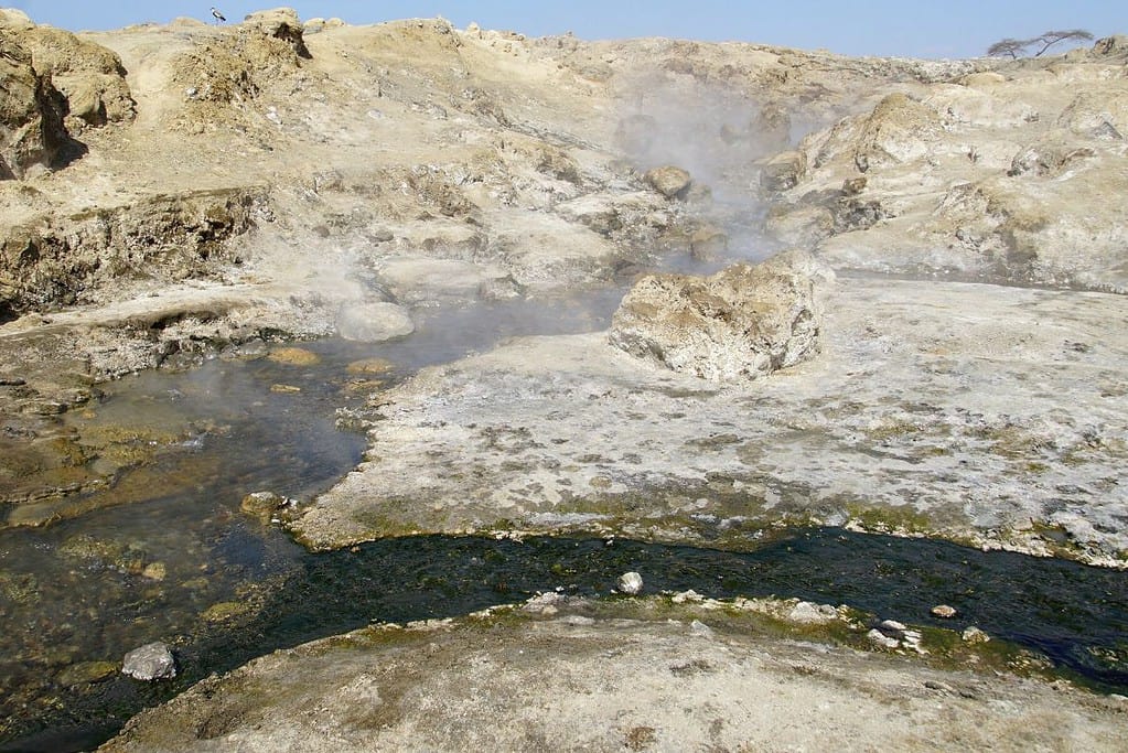 Visit Abijatta Shalla National Park Visit Abijatta-Shalla National Park