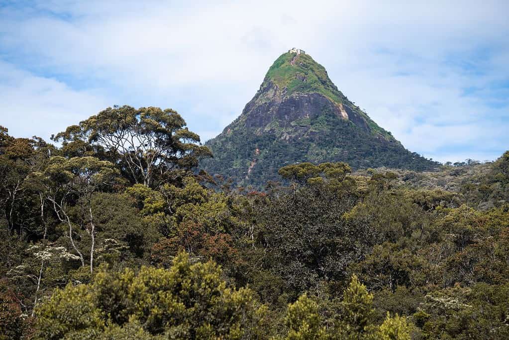 Visit Adams Peak Visit Adam's Peak