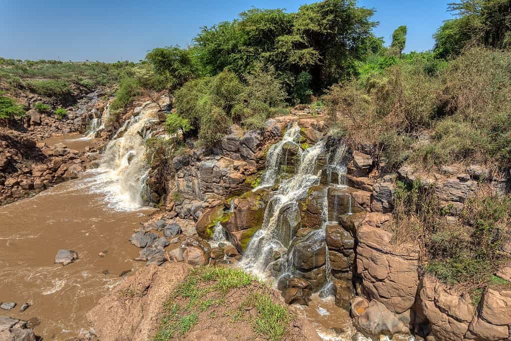 Visit Awash National Park Visit Awash National Park