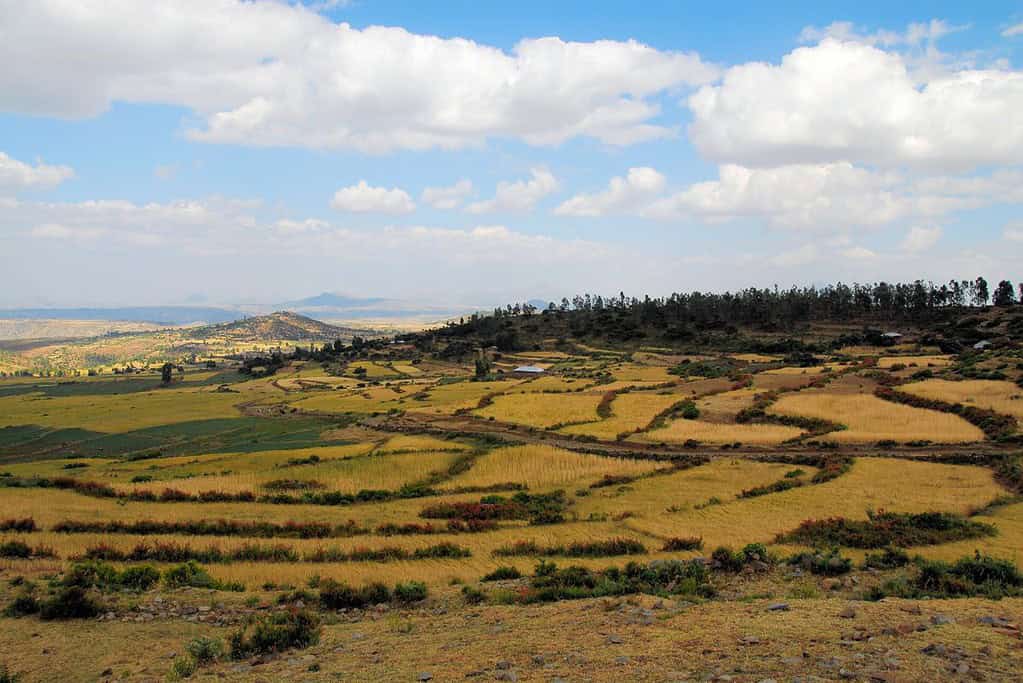 Visit Axum Visit Axum