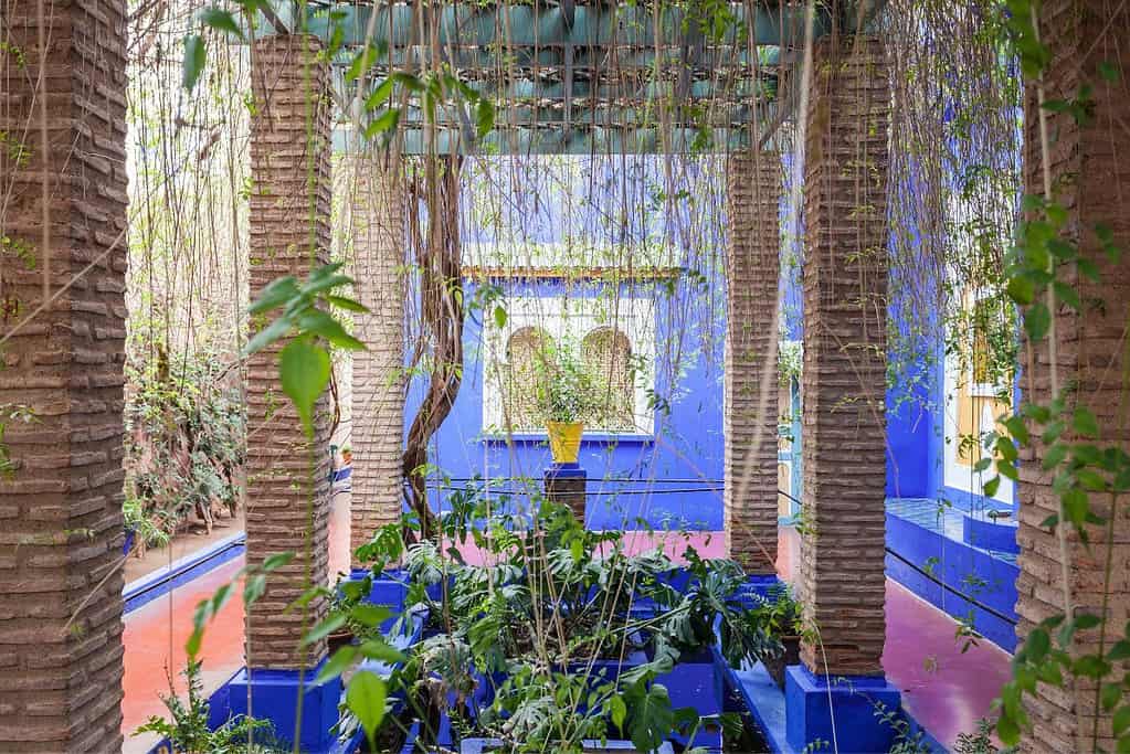 Visit Jardin Majorelle Visit Jardin Majorelle