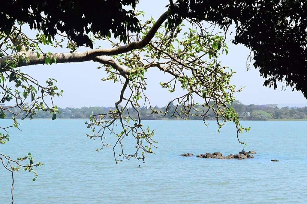 Visit Lake Tana Visit Lake Tana