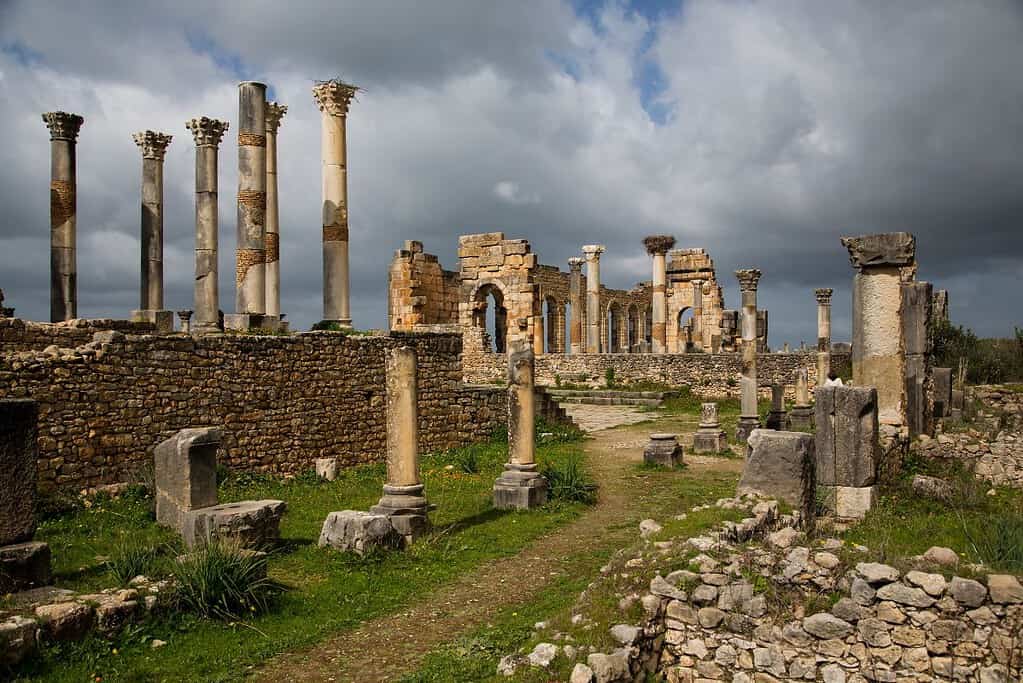 Volubilis 10 Volubilis