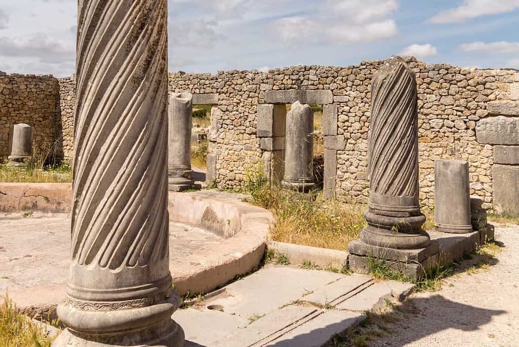 Volubilis 3 Volubilis