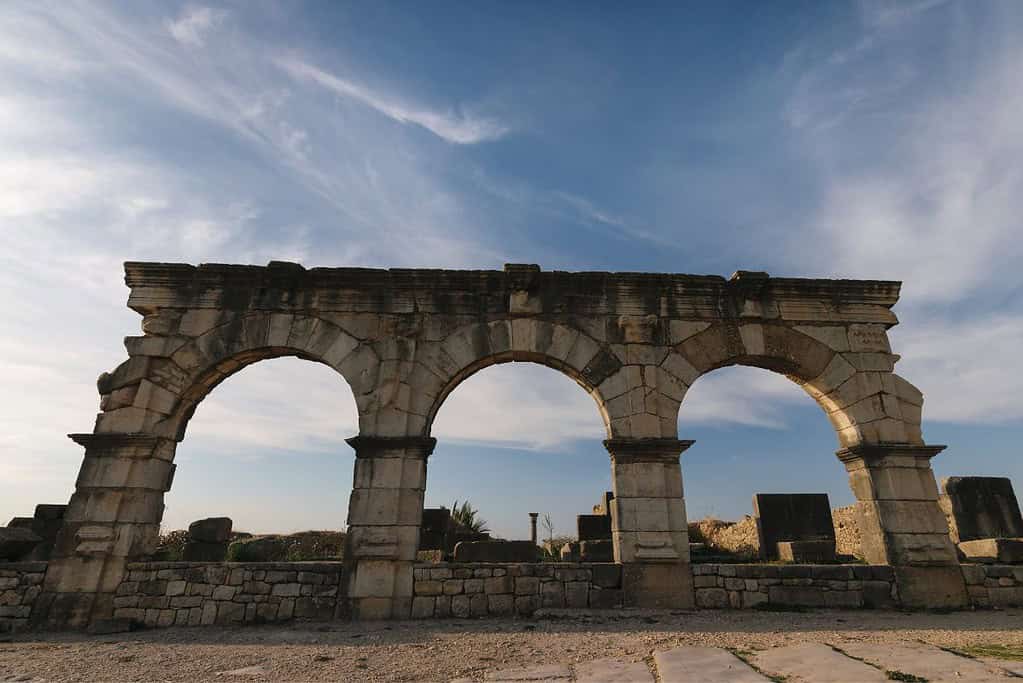 Volubilis 5 Volubilis