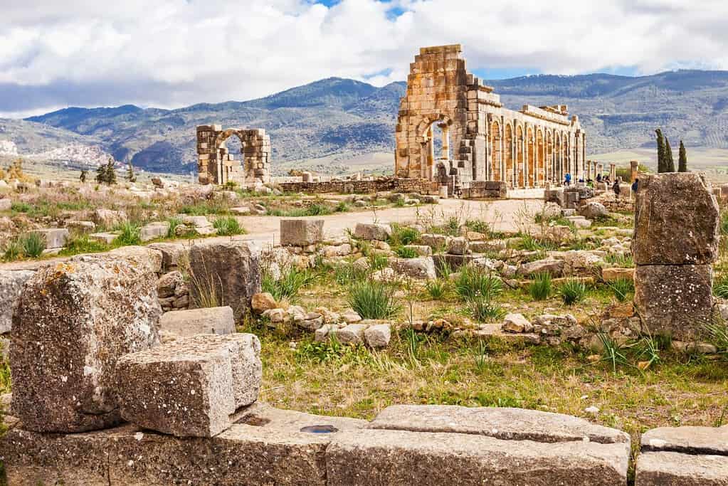 Volubilis 6 Morocco Volubilis
