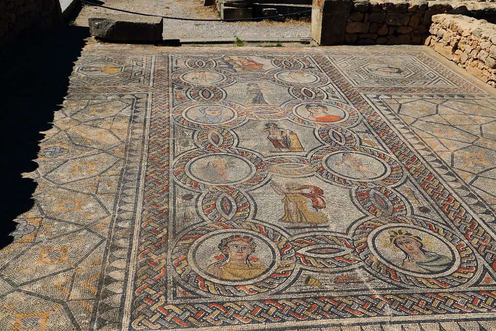 Volubilis 8 Volubilis