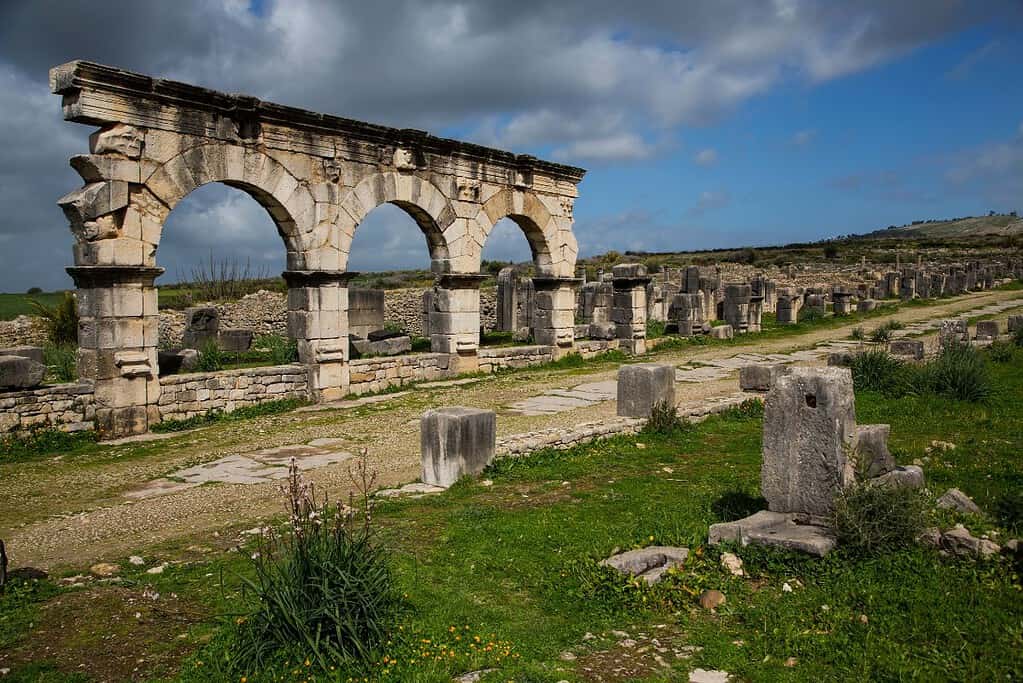 Volubilis 9 Volubilis