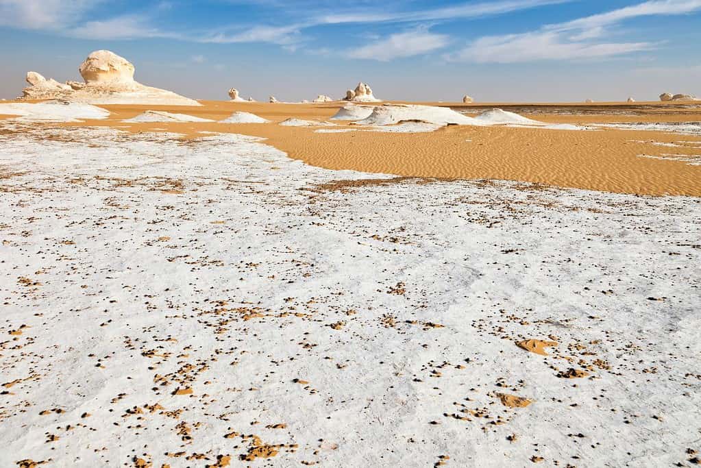 White Desert 2 White Desert