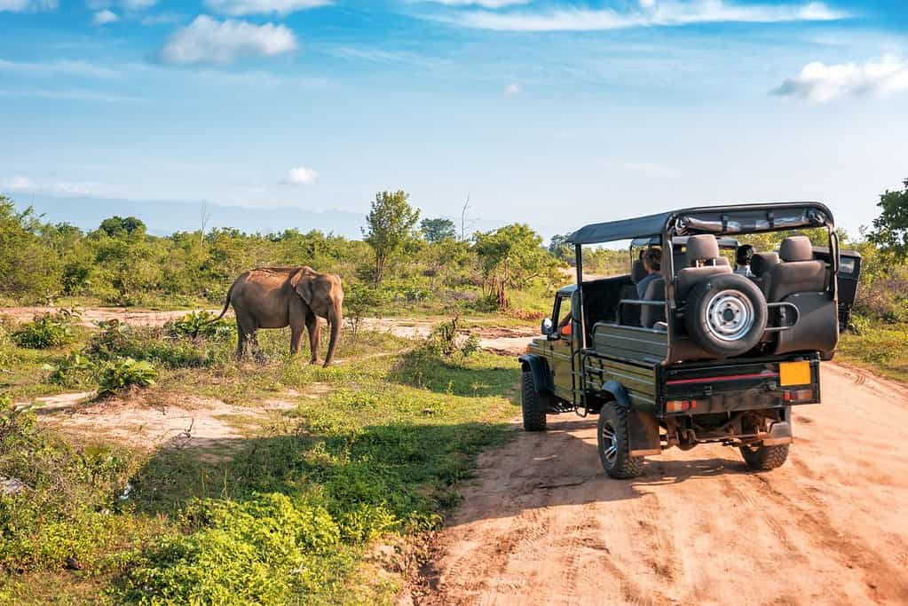 Yala National Park Yala National Park