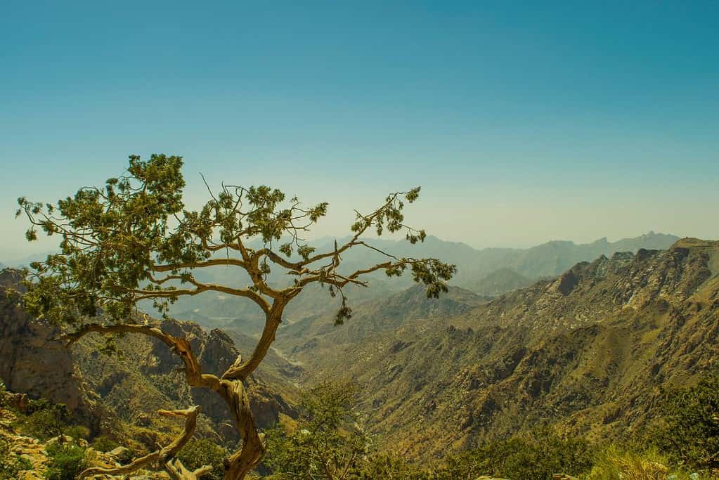Al Hada Mountain Al-Hada Mountain
