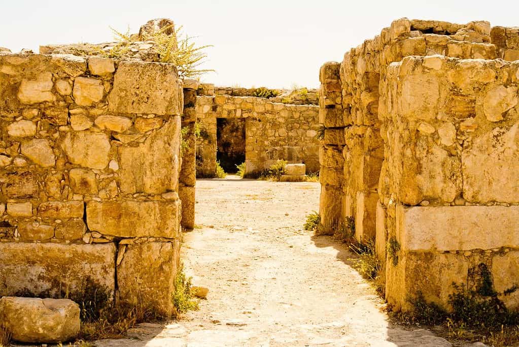 Amman Citadel Jordan Amman Citadel Jordan