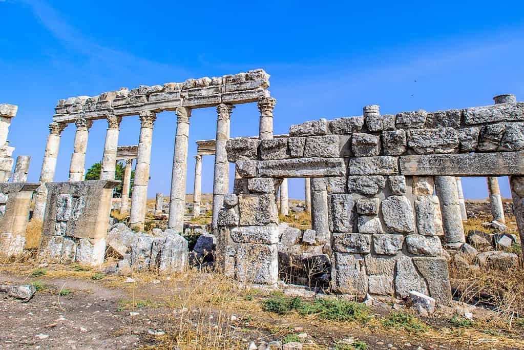 Apamea 3 Apamea