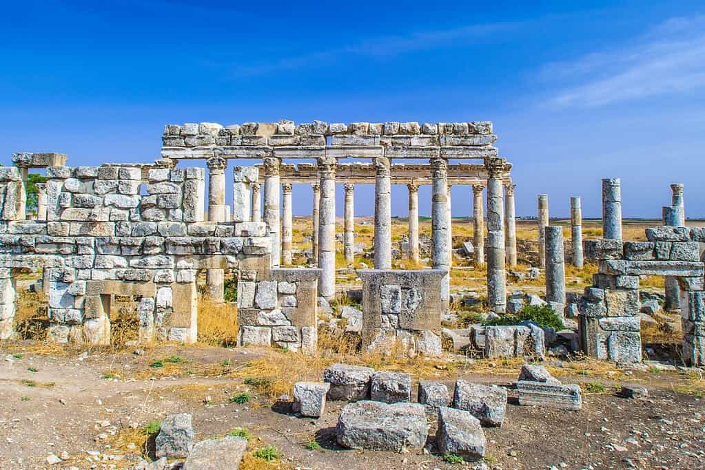 Apamea 4 Apamea