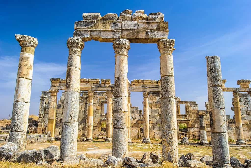 Apamea 5 Apamea